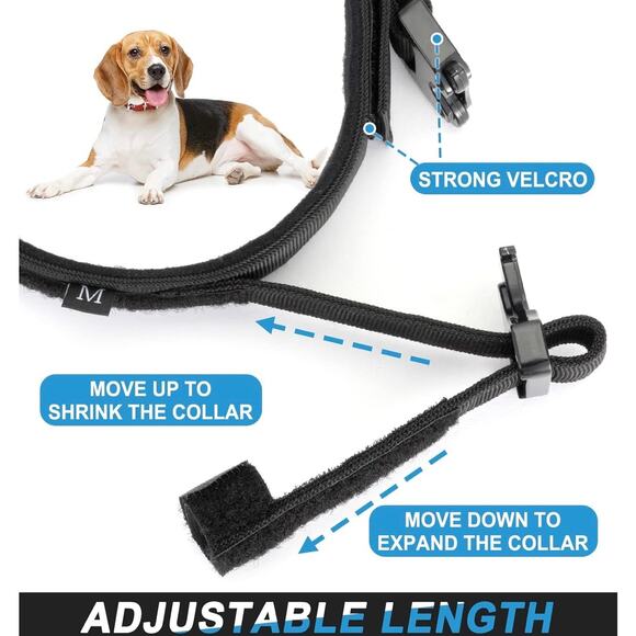 Dog collar size small US American Flag national emblem & Mama Says I'm Special - Picture 7 of 9